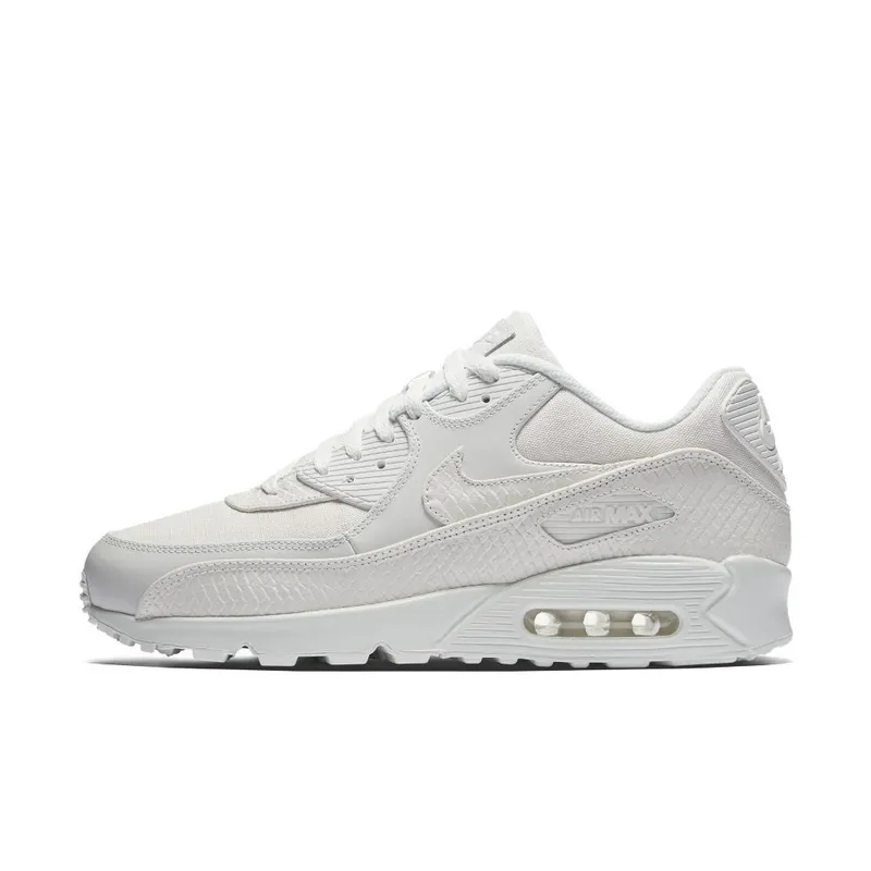 Nike Air Max 90 Summit White (700155-101)