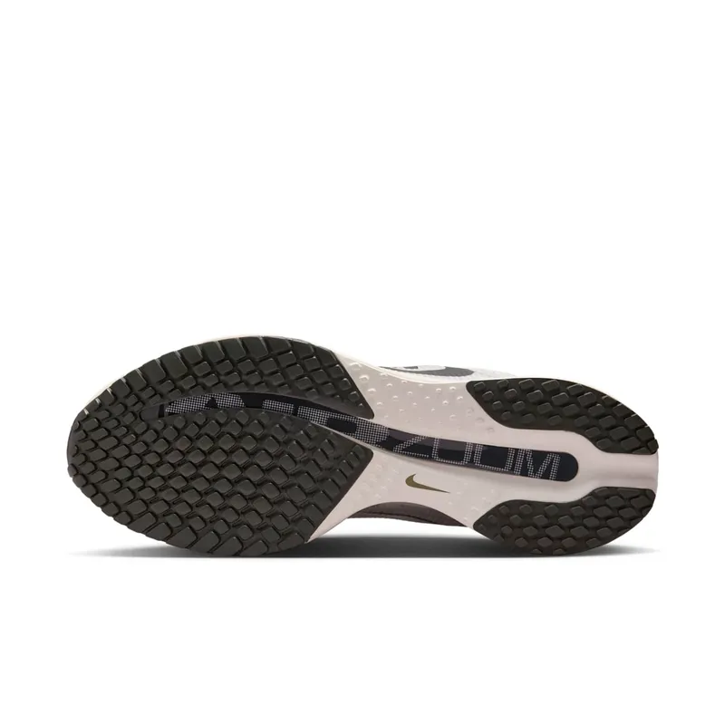 Nike Pegasus Premium “Run” (IH2288-001)