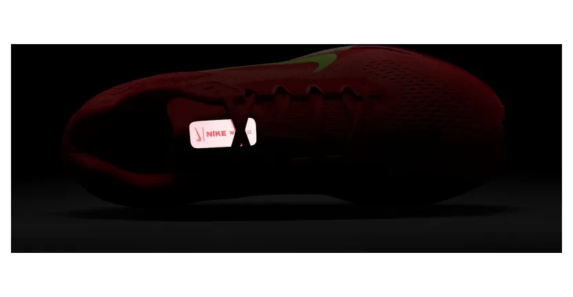 nike-winflo FJ9509-600