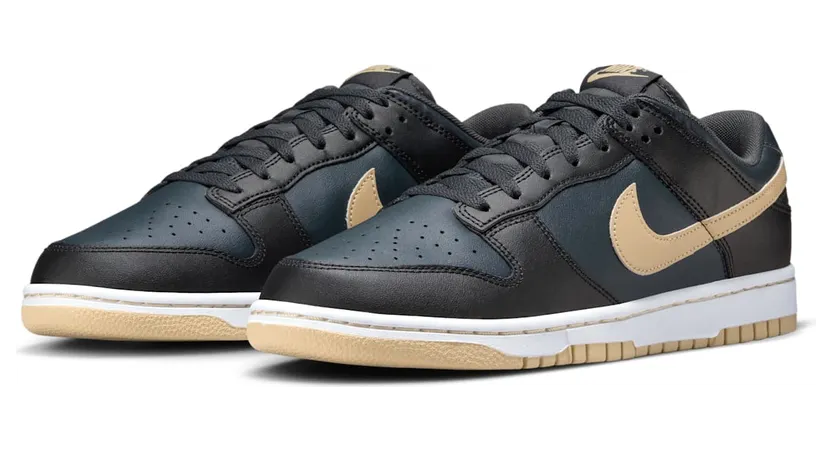 nike-dunk DV0831-005