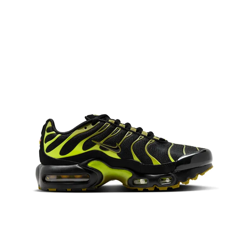 Nike Air Max Plus Black Cyber (CD0609-028)