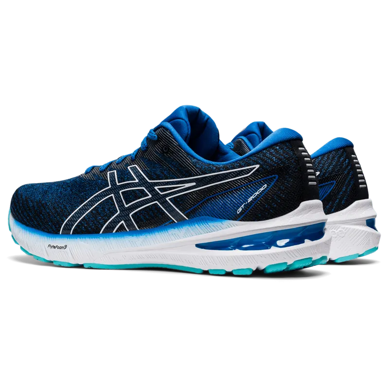 Asics GT-2000™ 10 Lake Drive/White (1011B185.401)