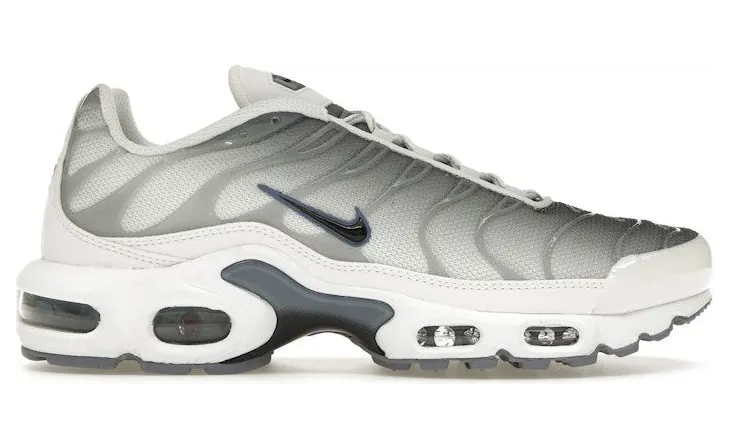 Nike Air Max Plus Smoke Grey Ashen Slate (FQ2892-100)