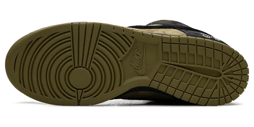 nike-dunk-sb HQ8487-300
