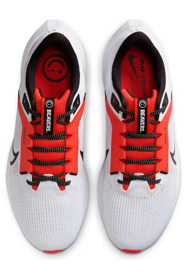 nike-air-pegasus DZ5954-100
