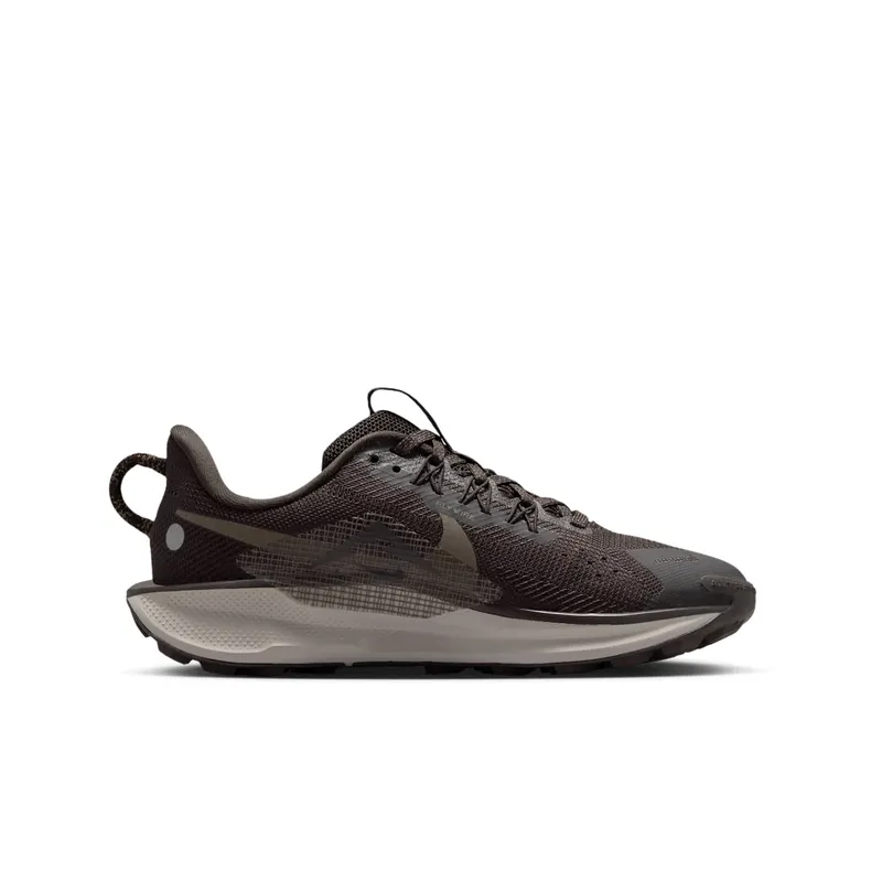 Nike Pegasus Trail Bruin (FV5638-201)