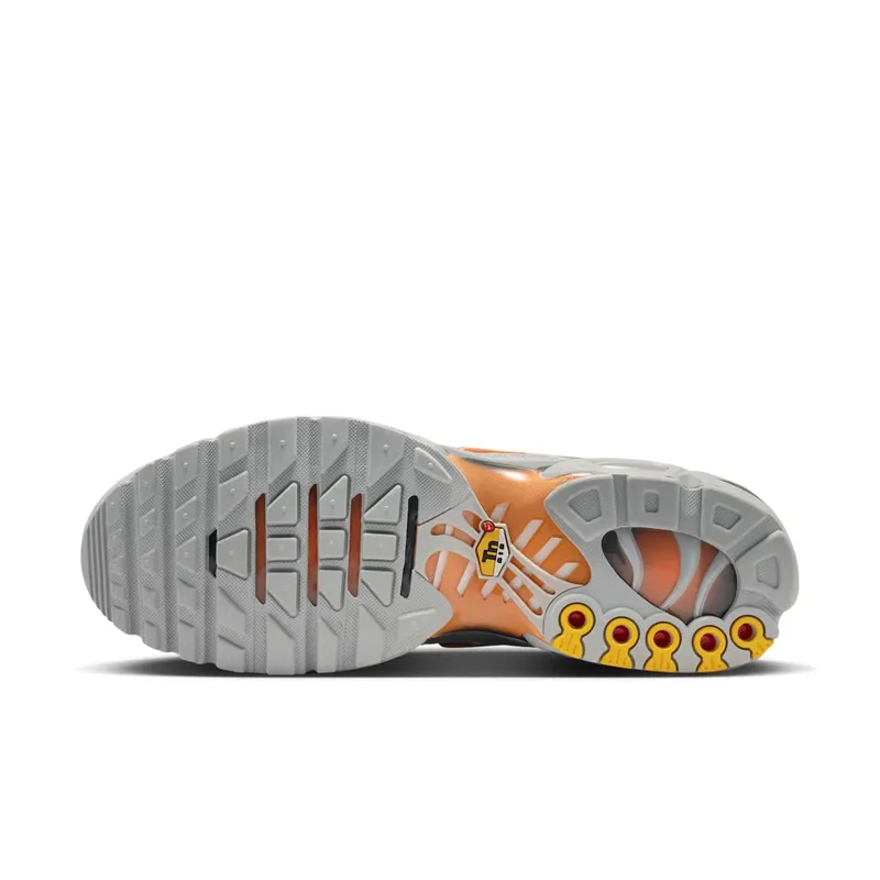 Nike Air Max Plus “Light Smoke Grey Hot Curry” (DM0032-037)