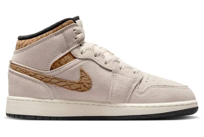 air-jordan-1 DZ5369-102