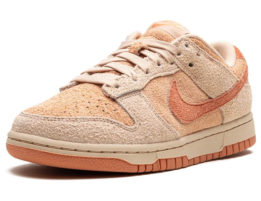 nike-dunk HF5075-287