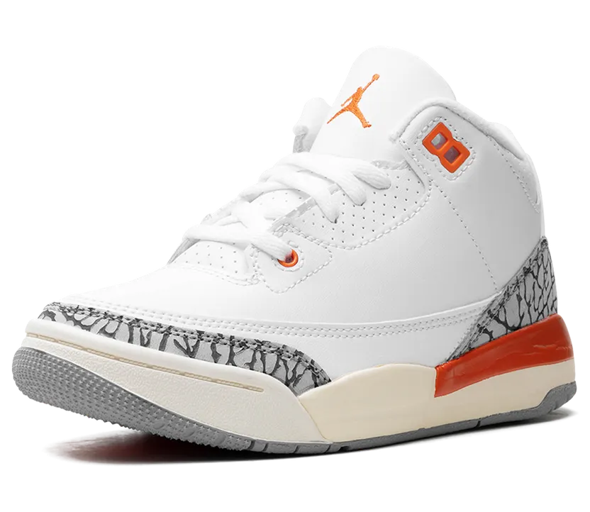 air-jordan-3 FQ9174-121