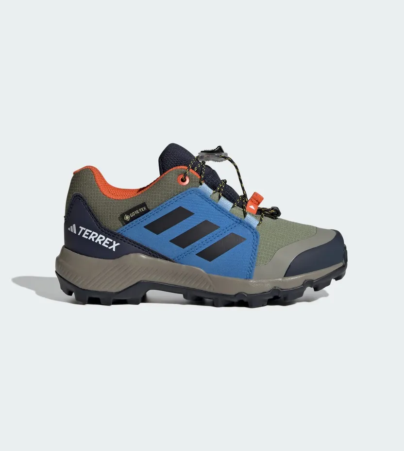 Adidas Terrex GORE-TEX Hiking Tent Green / Core Black / Ray Blue (JR9073)
