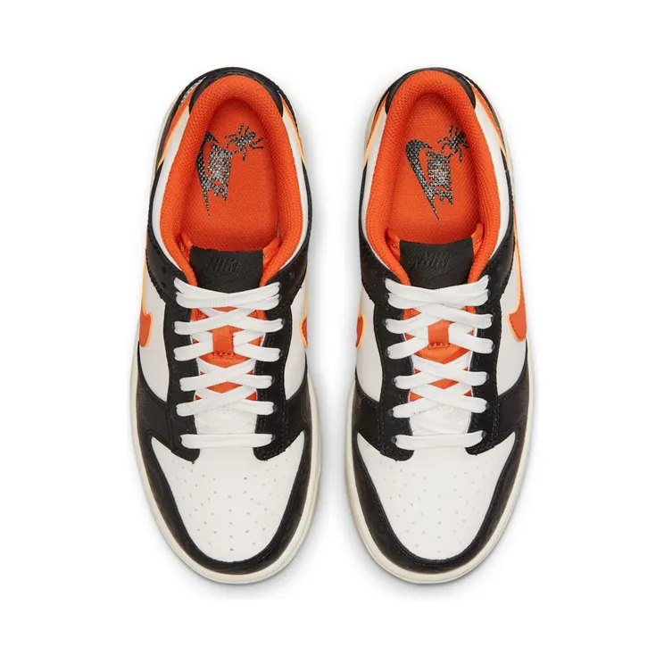 nike-dunk DO3806-100