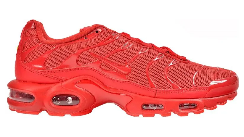 Nike Air Max Plus 604133-604