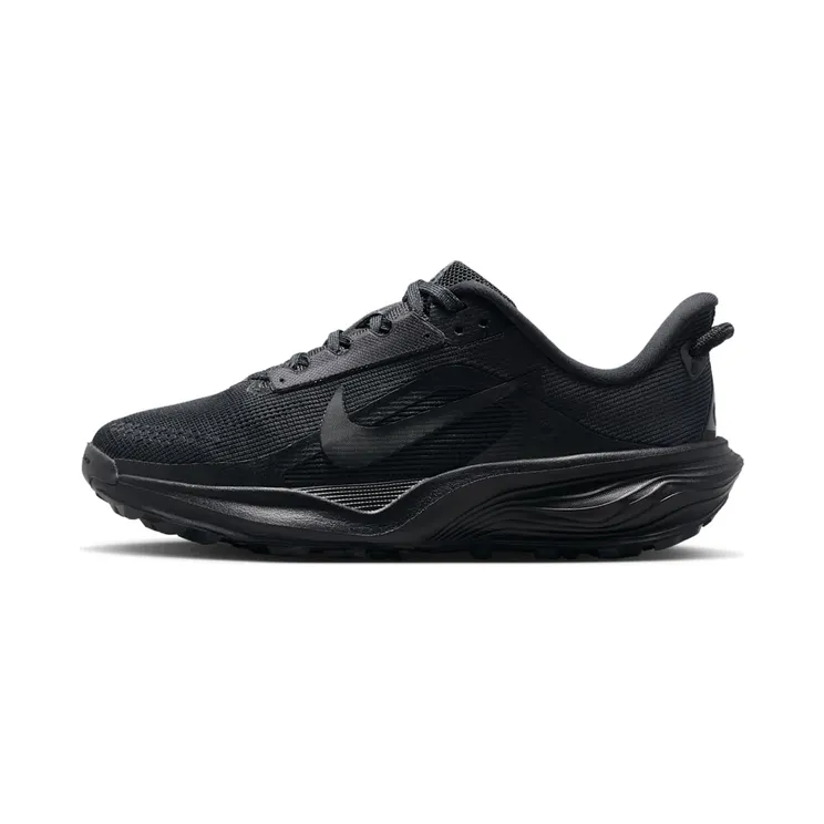 Nike Pegasus Trail 4 “Black / Anthracite” (IH2305-003)