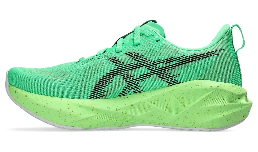 asics-novablast 1012B991-300