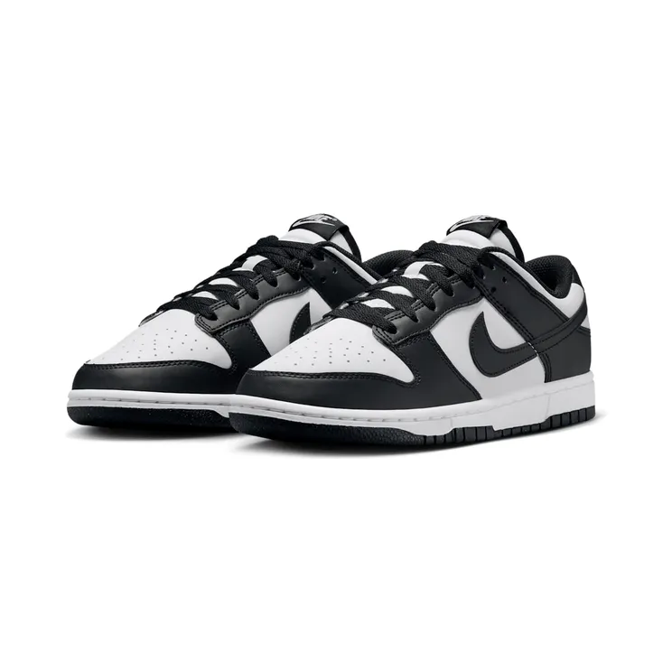 nike-dunk DD1873-102