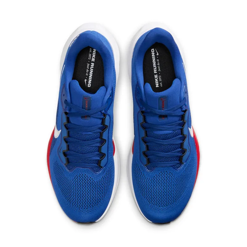 Nike Air Zoom Pegasus 41 New York Giants (2025) (IB3203-400)