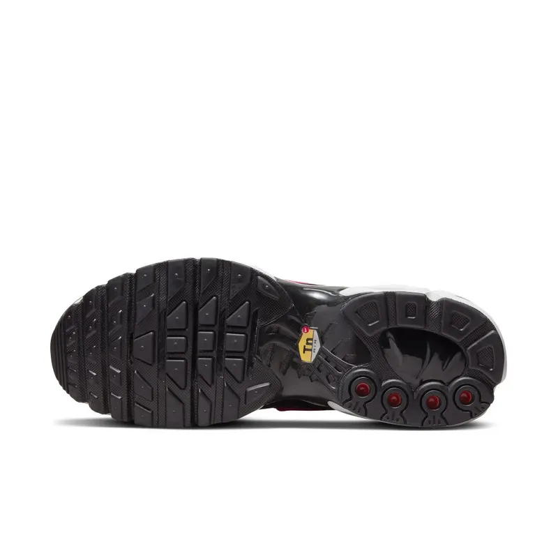 Nike Air Max Plus Purple (DZ3670-500)