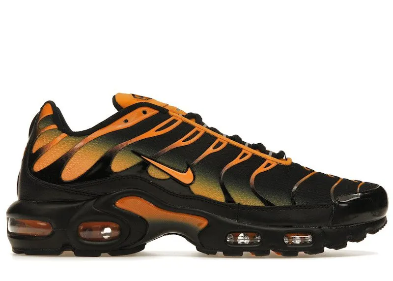 Nike Air Max Plus Black Sundial (DM0032-007)