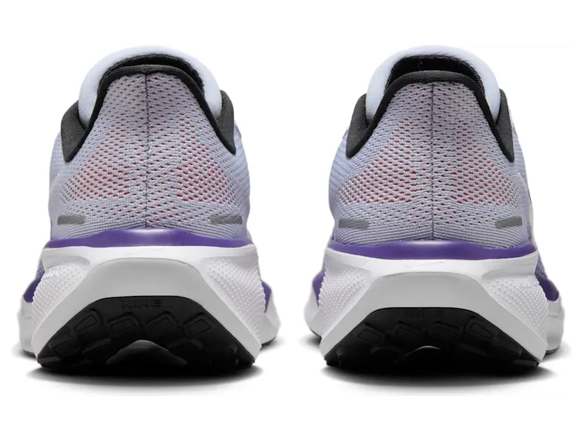 nike-air-pegasus FD2723-013