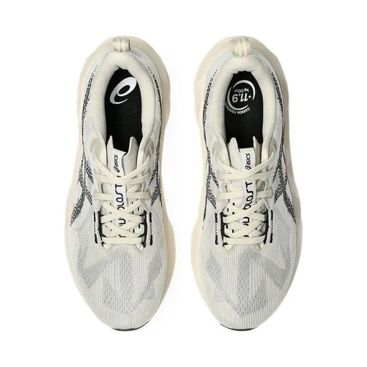 asics-novablast 1011B974-250
