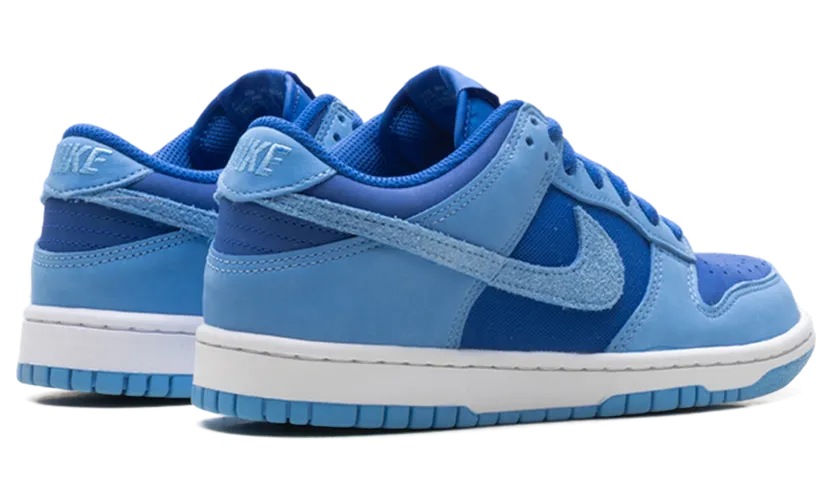 nike-dunk IB5721-400