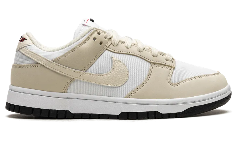 nike-dunk DZ2710-100