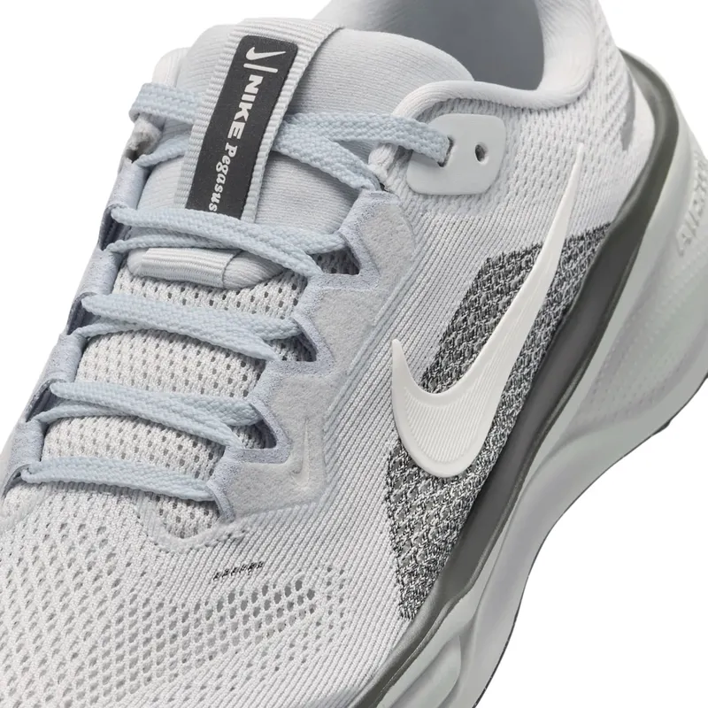 Nike Pegasus Pure Platinum/Anthracite/Light Silver/Sail (FN5041-006)