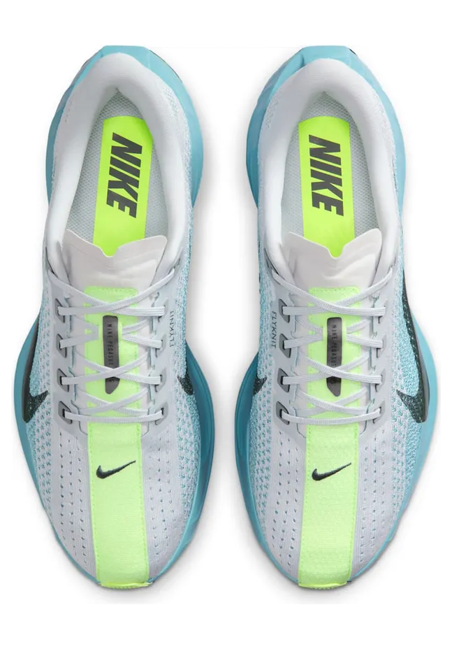 nike-air-pegasus FQ7262-012
