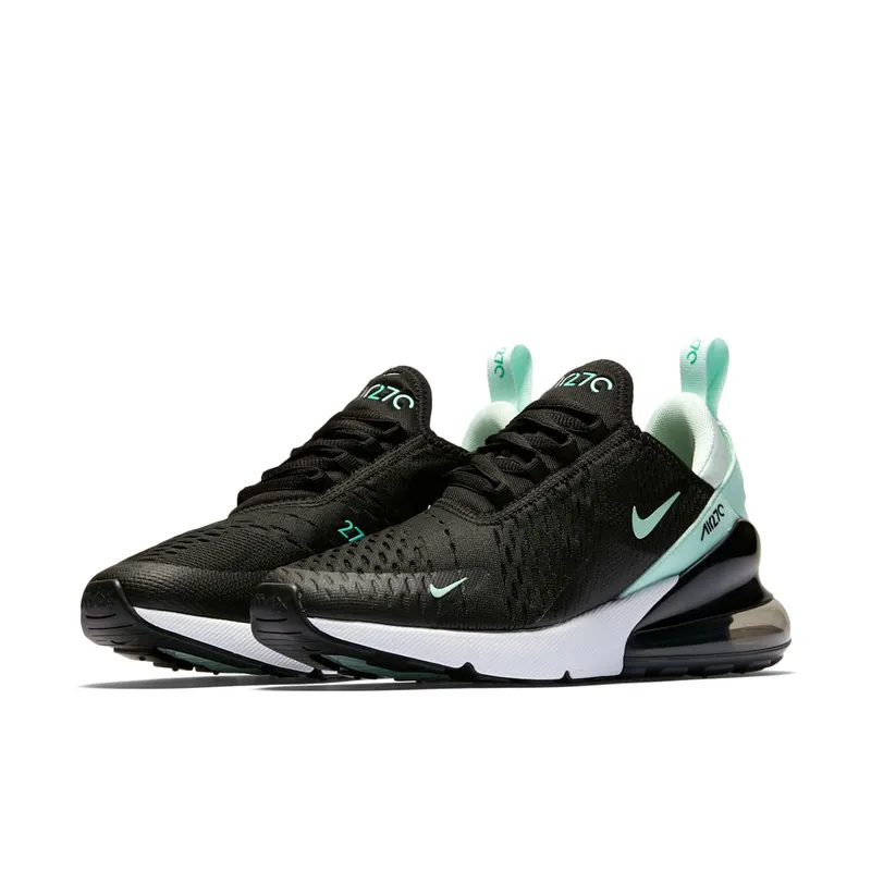 Nike Air Max 270 Igloo (W) (AH6789-008)