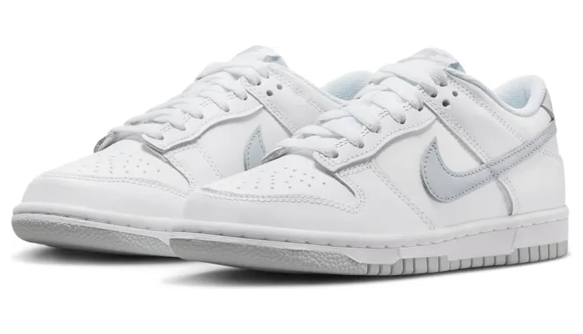 nike-dunk DH9765-102