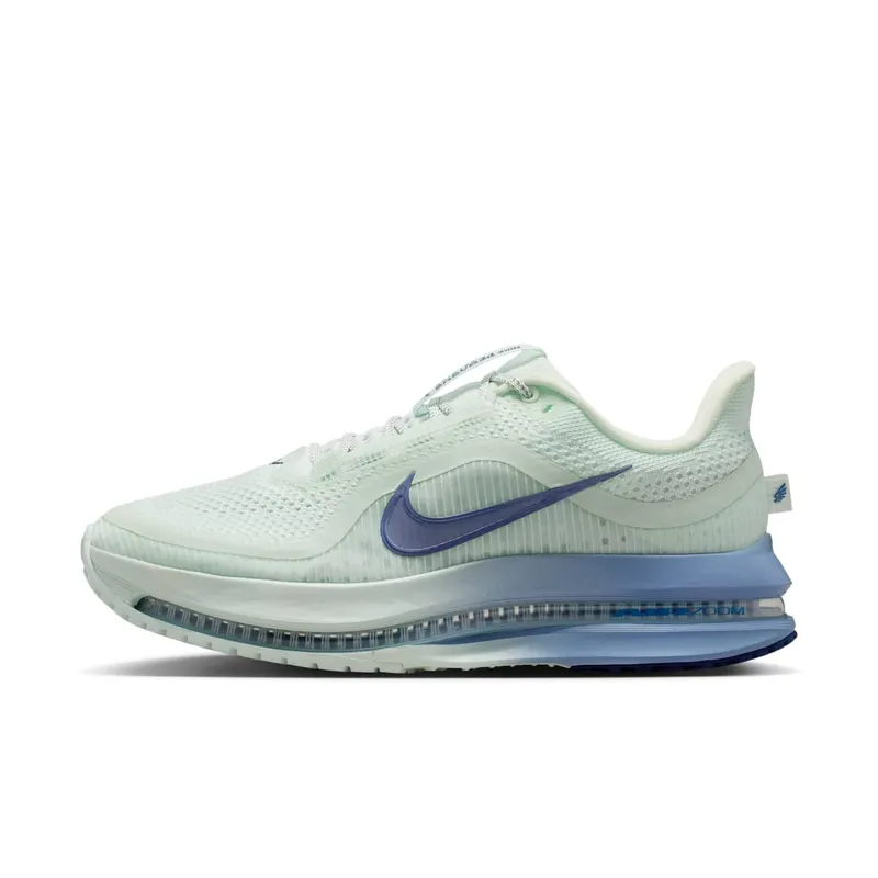 Nike Pegasus Barely Green/Work Blue/Football Grey/Blue Void (HQ2593-301)