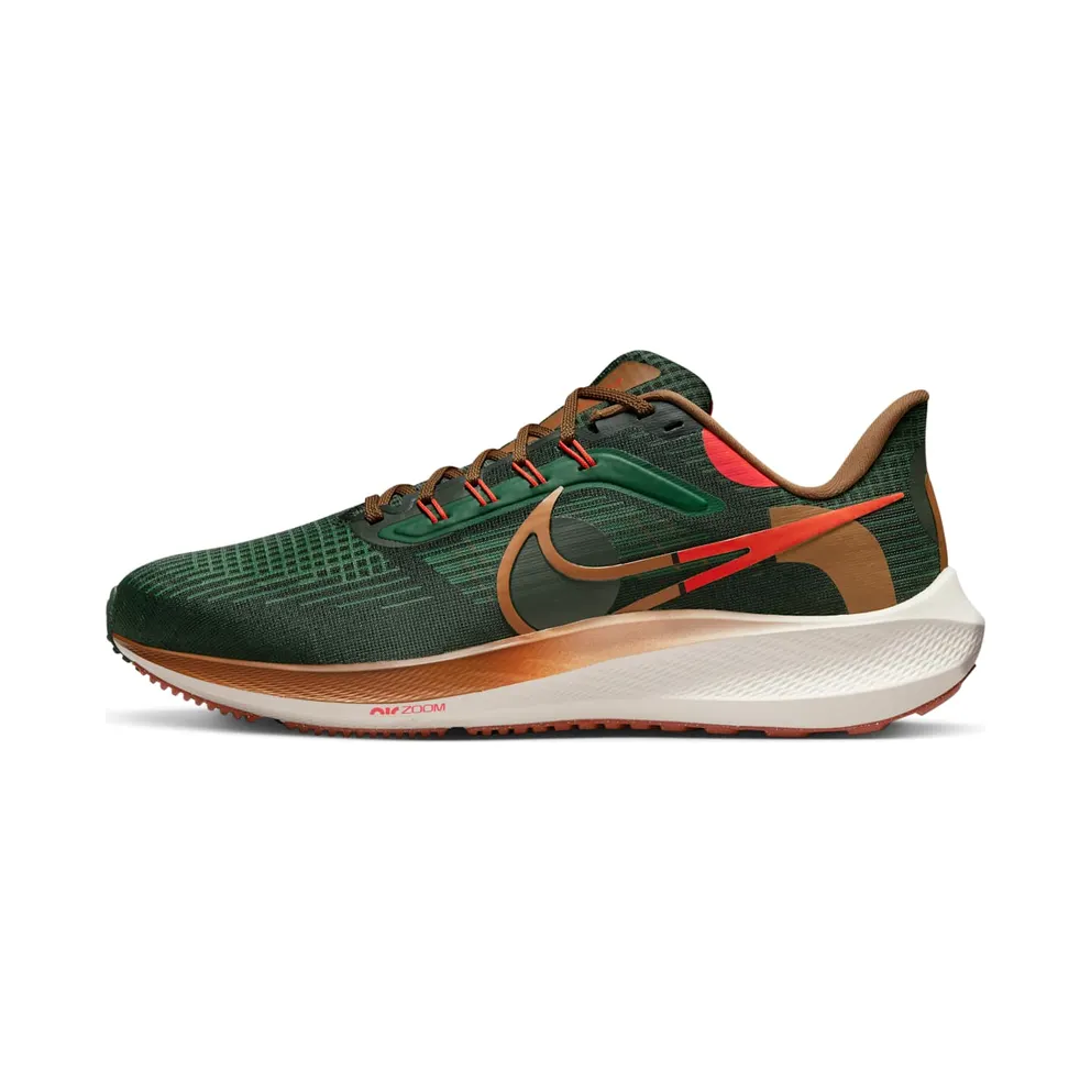 Nike Air Zoom Pegasus 39 A.I.R. Hola Lou Grün (DO9500-300)