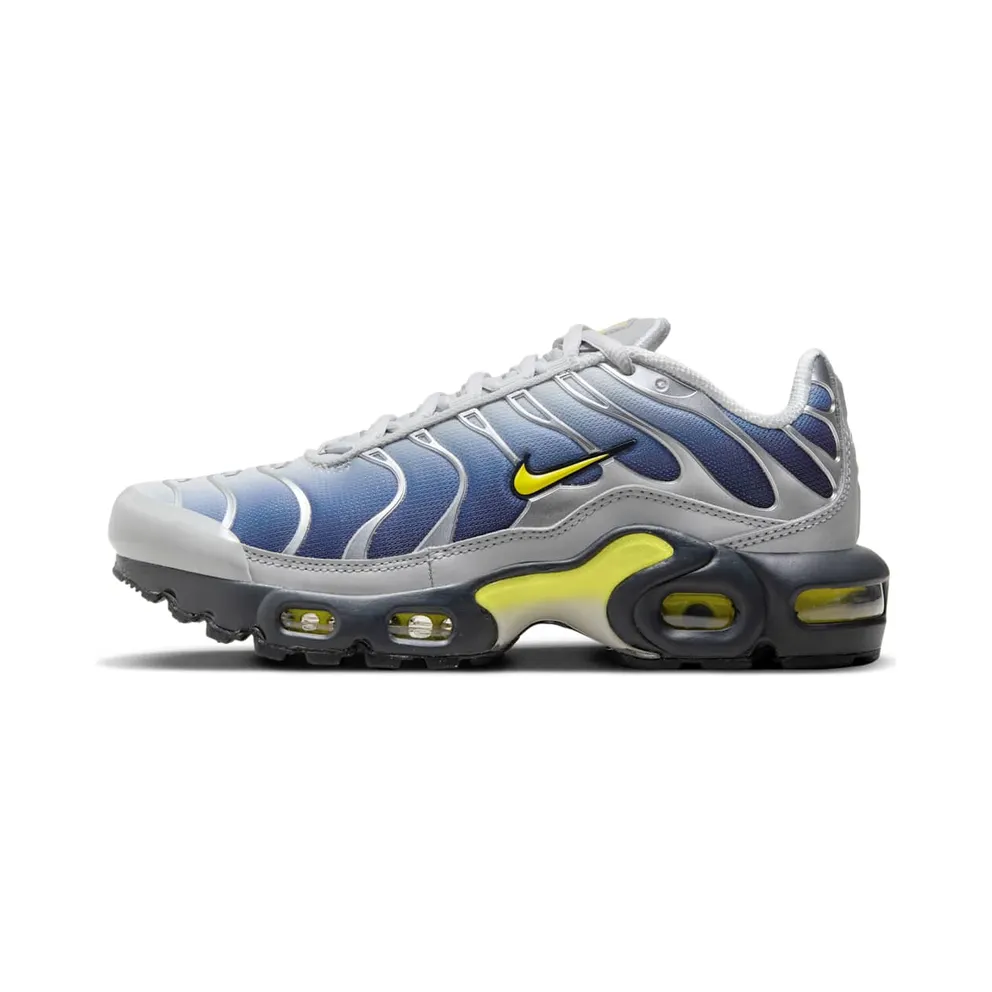 Nike Air Max Plus Obsidian Silver (HF0030-001)