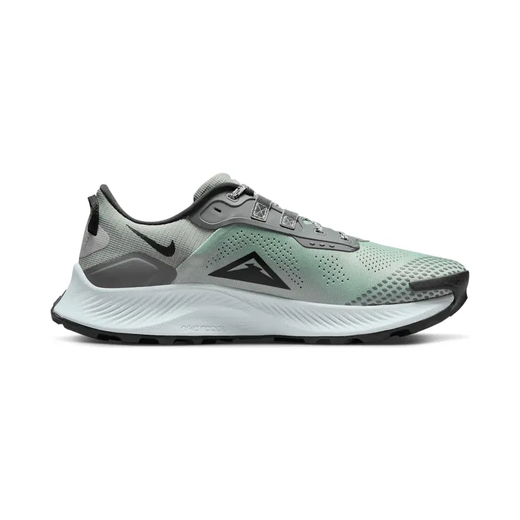 nike-air-pegasus DV3035-001