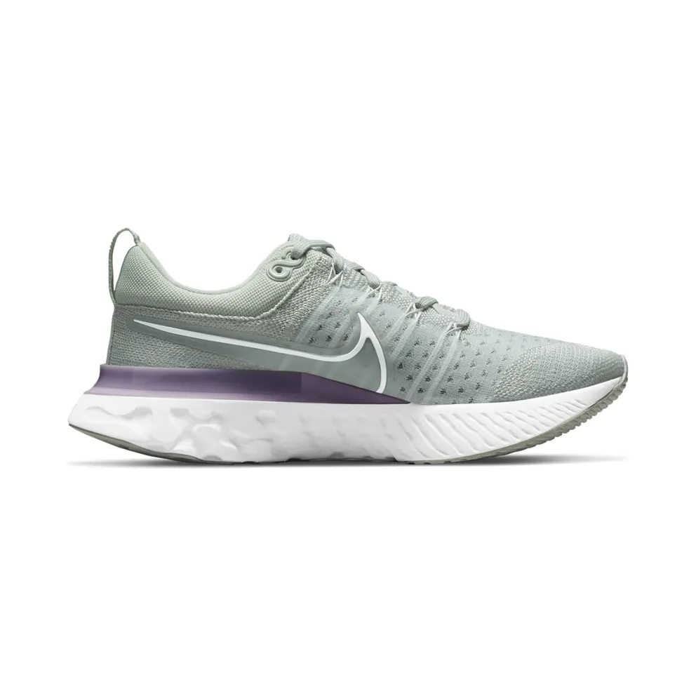 Nike React Infinity Run Flyknit 2 Grey (CT2423-005)