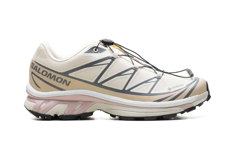 Salomon XT-6 GTX “Almond Milk Mauve” (L47581-200)