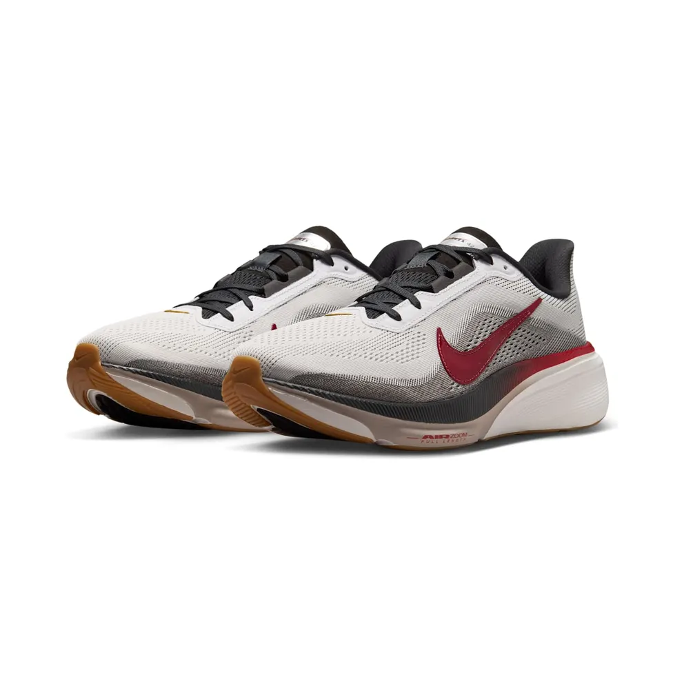 Nike Air Zoom Pegasus 42 Now & Then Pack (IV5659-121)