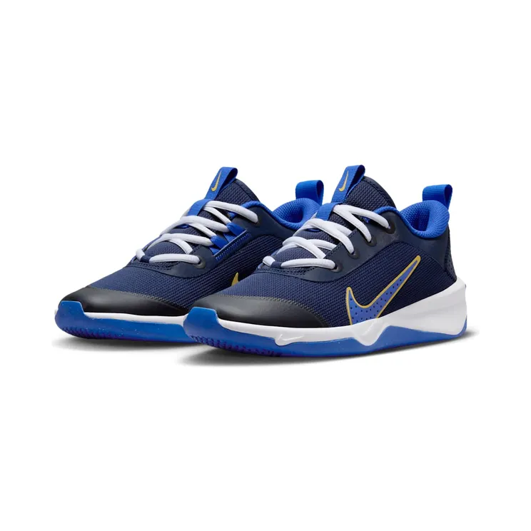 nike-omni-multi-court DM9027-404