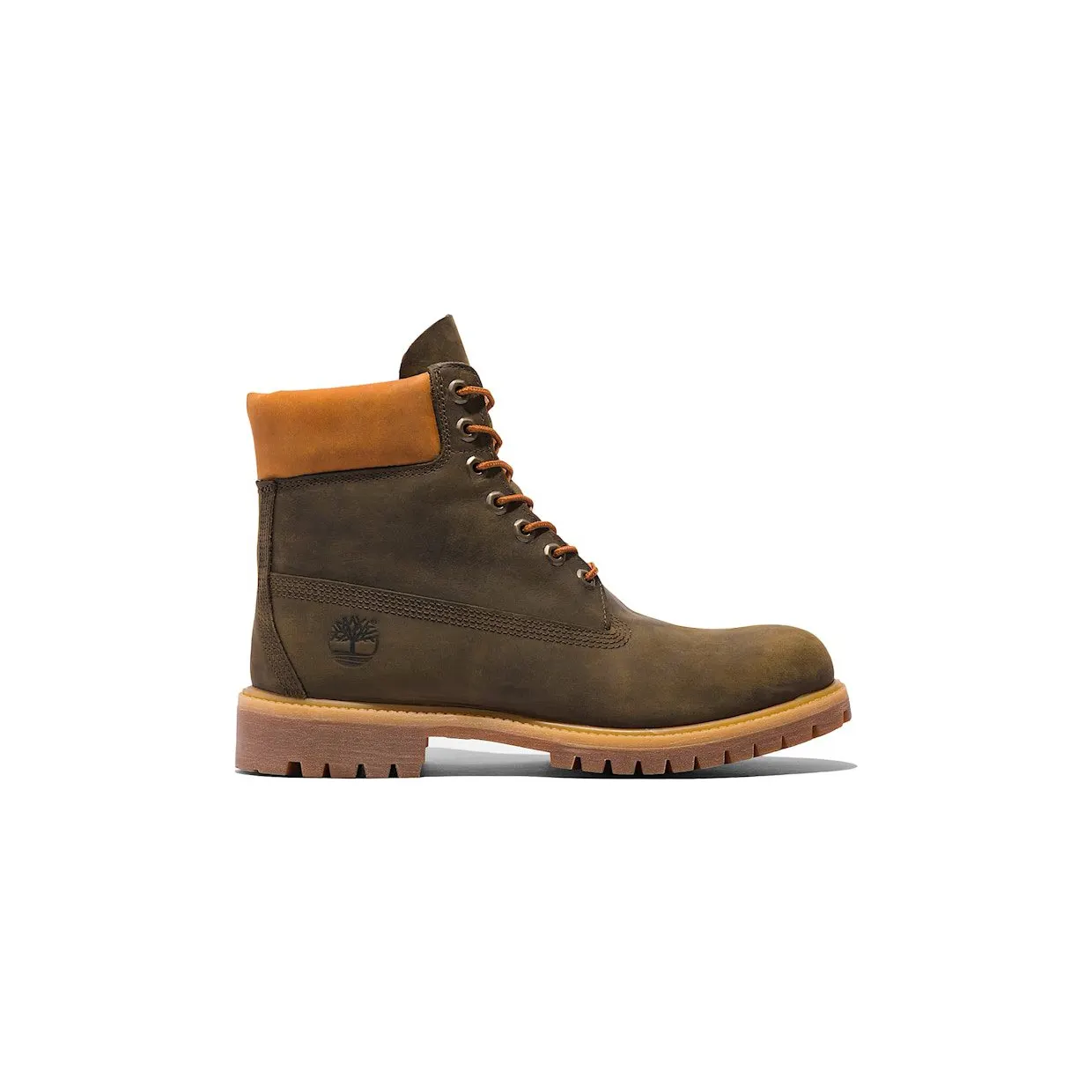 timberland-6-inch TB0A6291-327