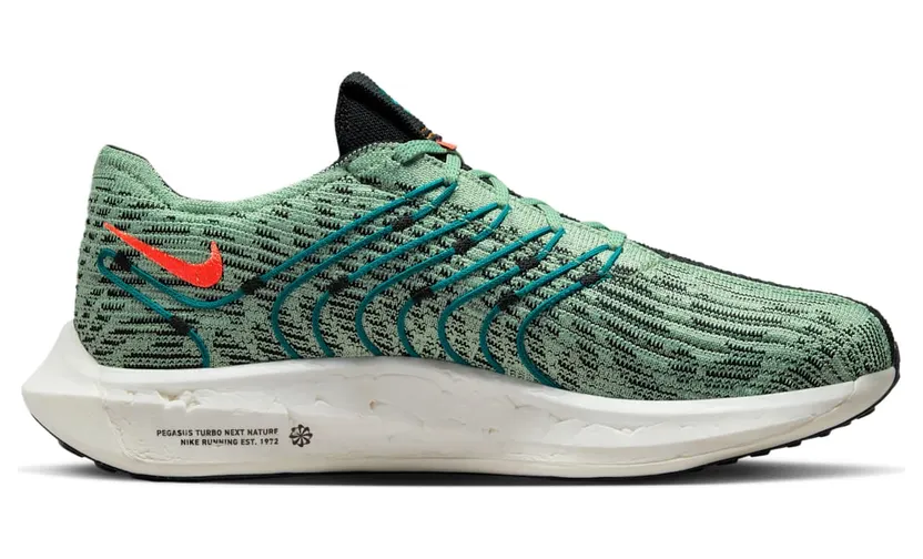 nike-air-pegasus DZ4850-300