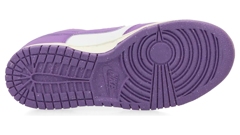 nike-dunk DD1873-108
