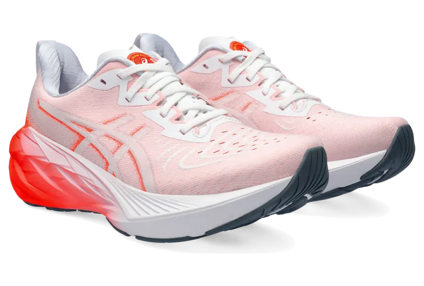 asics-novablast 1011B845.100