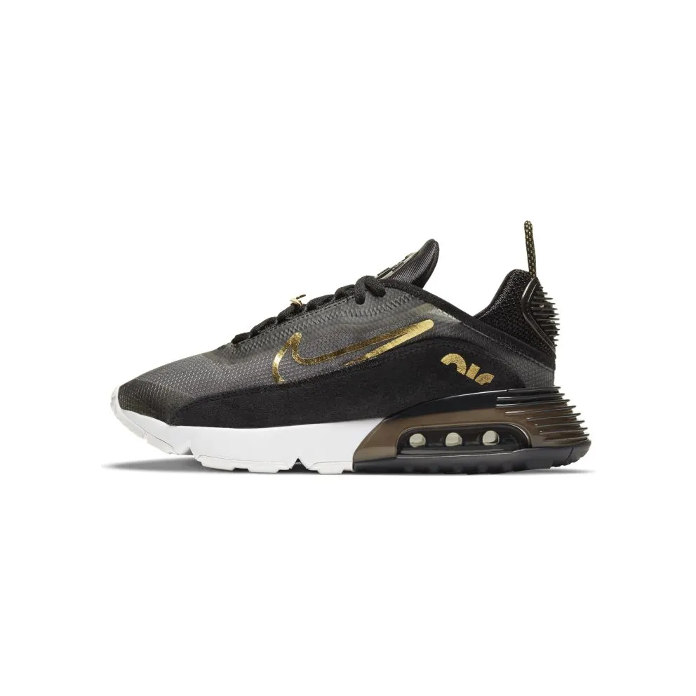 Nike Air Max 2090 Black (DC4461-001)