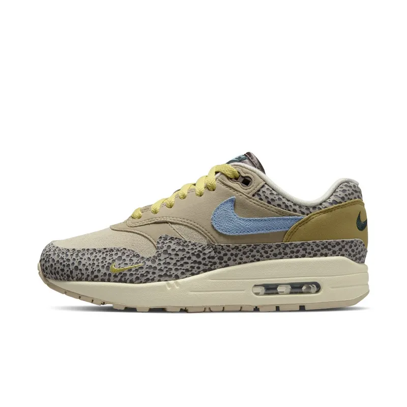 Nike Air Max 1 Grey (DV3027-001)