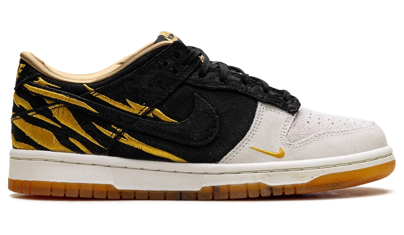 nike-dunk DQ5351-001