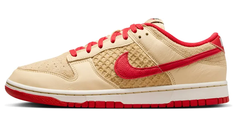 Nike Dunk Low HJ9100-294