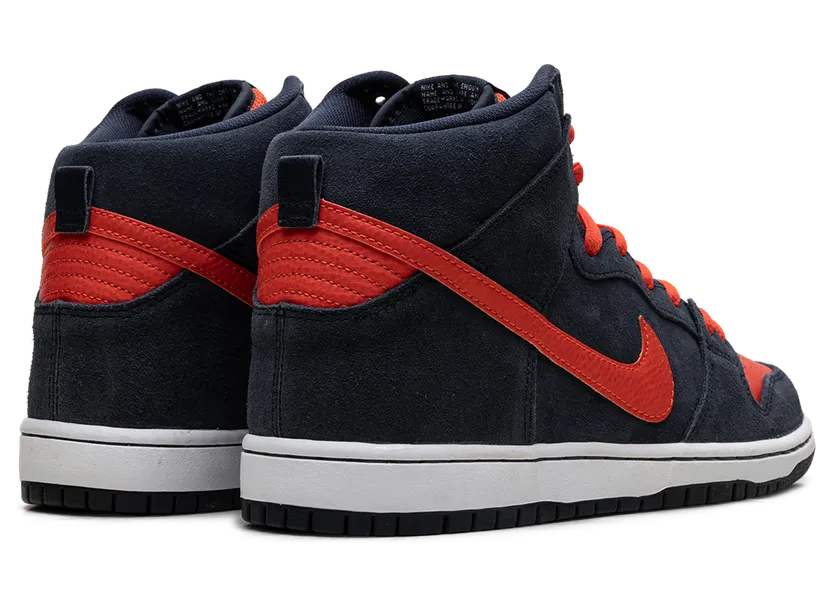 nike-dunk 305050-481