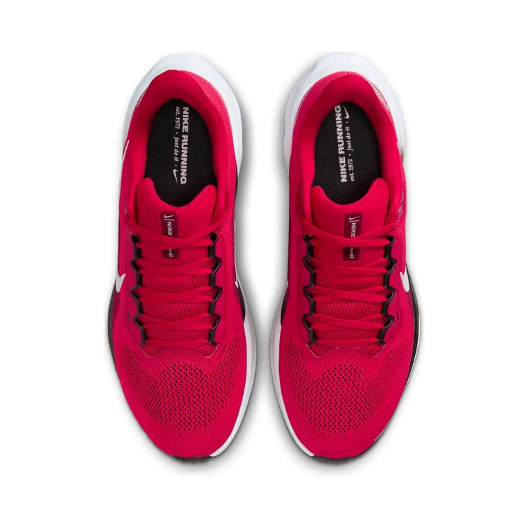 nike-air-zoom IB3254-600