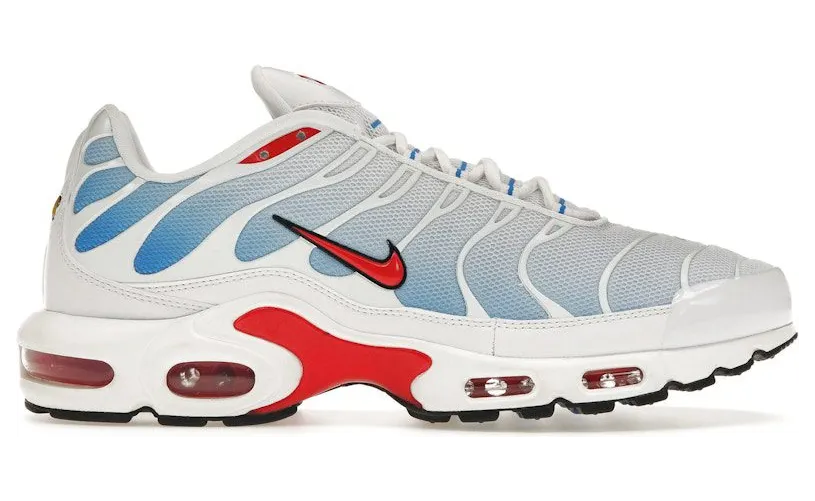 Nike Air Max Plus Tide (2022) (604133-423)